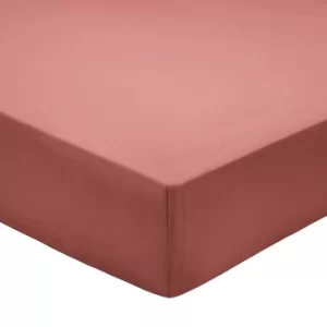 image of Bedeck of Belfast 200 Thread Count Pima Cotton Plain Dye Double Fitted Sheet, Marsala