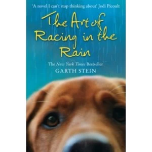 Image of The Art of Racing in the Rain