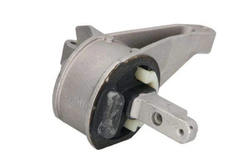 Image of REINHOCH Holder, engine mounting REINHOCH RH11-0117