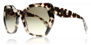 image of Prada 16Rs Sunglasses Sand/dark brown tortoiseshell UAO3D0