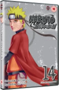 Image of Naruto Shippuden Collection 14 (Episodes 167-179)