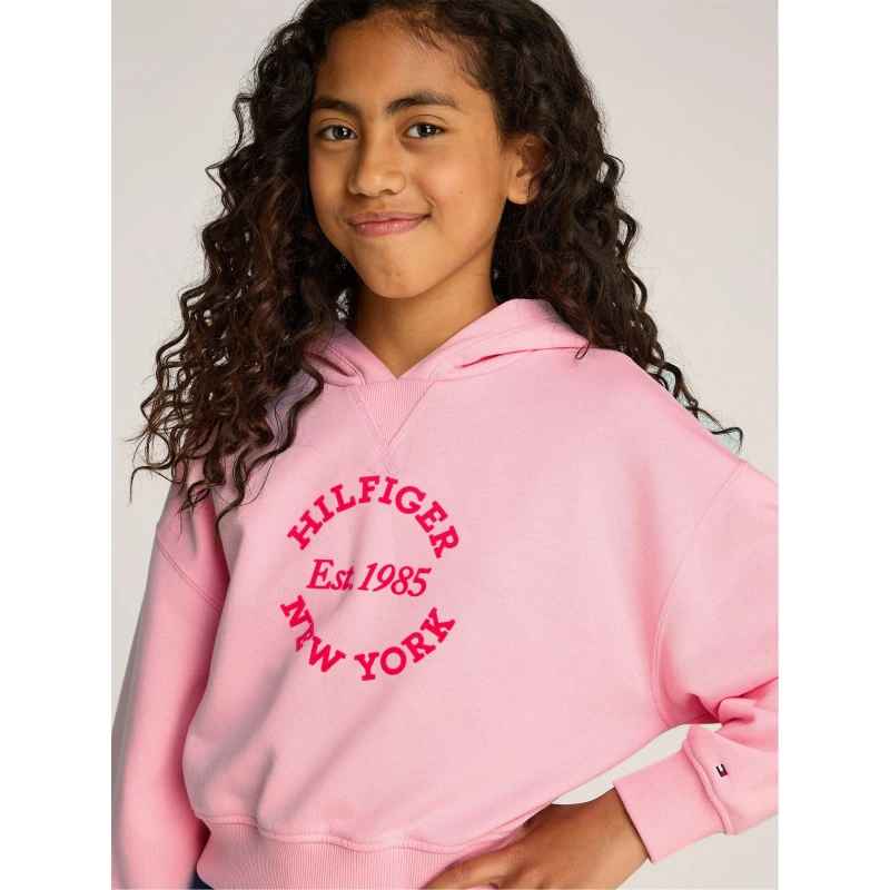 Image of Tommy Hilfiger Kids New York Hoodie Pink TPF female 8Y