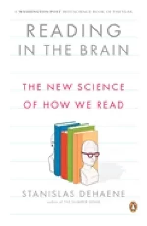 Image of reading in the brain the new science of how we read