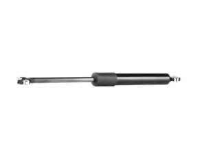 Image of RIDEX Tailgate strut BMW 219G0470 51241908431