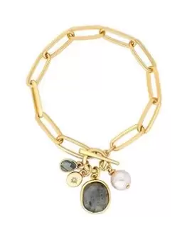 image of Mood Gold Blue Labradorite Celestial Charm Bracelet, Yellow Gold, Women