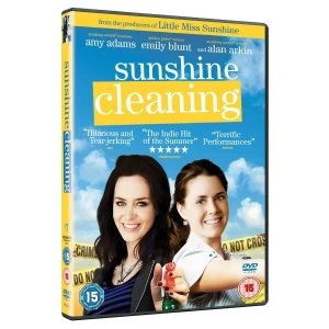Image of Sunshine Cleaning DVD