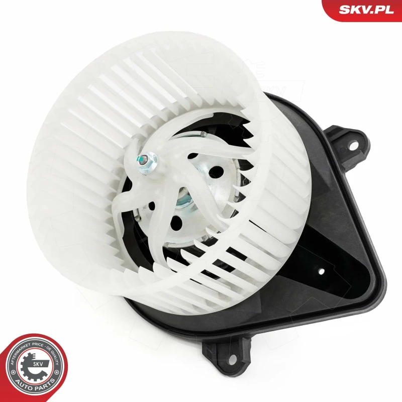 Image of ESEN SKV Blower motor ESEN SKV 68SKV169
