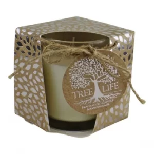 image of Small Tree Of Life Fragranced Candle In Gift Box