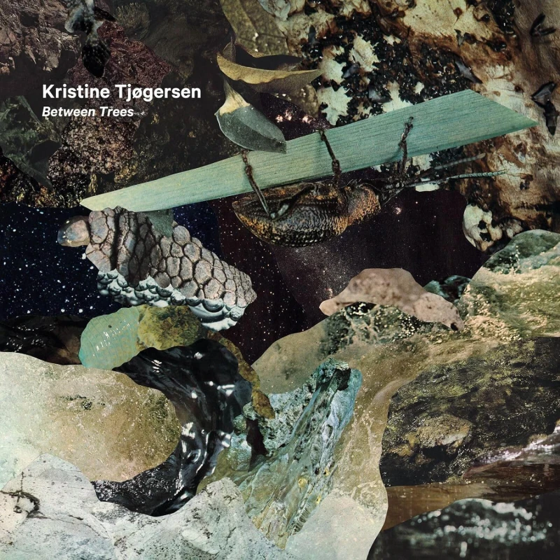 Image of Kristine Tjogersen: Between Trees CD / Album