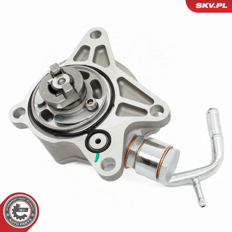 Image of ESEN SKV Brake vacuum pump ESEN SKV 18SKV070
