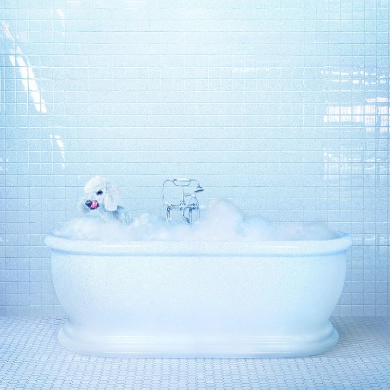 Image of Frankie Cosmos - Vessel CD Album - Used