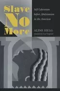 Image of slave no more self liberation before abolitionism in the americas