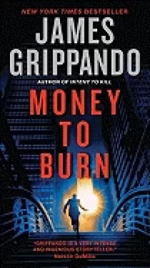 Image of money to burn