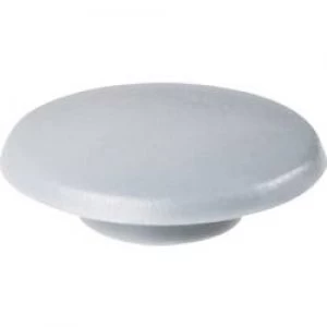 Image of TOOLCRAFT Ribe Kaepi for inner hexagonal screws M 6 DIN 912 ISO 6912 DIN ISO 4762