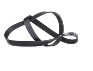 Image of RIDEX V-ribbed belt BMW,FORD,RENAULT 305P0064 11281741427,12578001,MN158101 5750FJ,5750M0,5750RZ,5750Y2,5750ZG,9624542280,9624543180,8200243021,5750FH