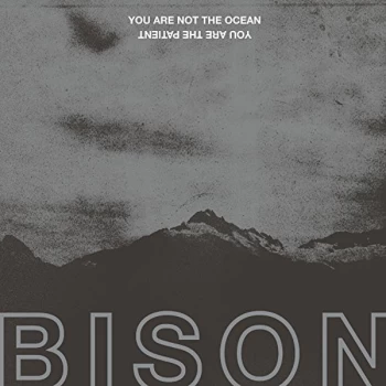 Image of Bison - You Are Not the Ocean You Are the Patient Vinyl