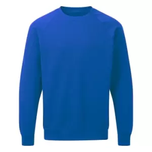 Image of SG Mens Raglan Sleeve Crew Neck Sweatshirt (2XL) (Royal)