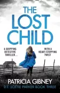 Image of lost child a gripping detective thriller with a heart stopping twist
