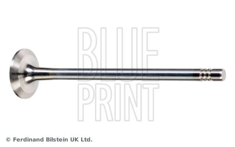 Image of Blue PRINT Exhaust valve Blue PRINT ADBP610040