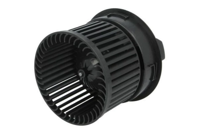 Image of THERMOTEC Blower motor THERMOTEC DDC013TT