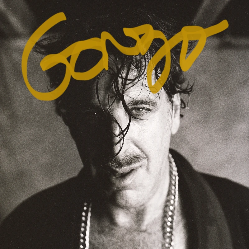 Image of Gonzo CD / Album