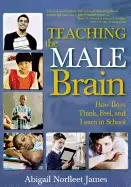 Image of teaching the male brain how boys think feel and learn in school