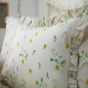Image of Belledorm Bluebell Meadow Pillowcase Pair (One Size) (Ivory)
