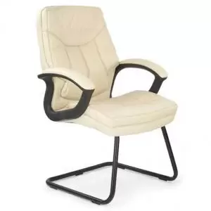 image of Hudson C Cantilever Frmed Leather Faced Armchair CM 49988ET