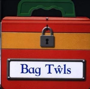 Image of Bag Twls by Sioned Lleinau Hardback