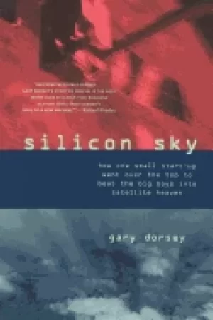 Image of silicon sky