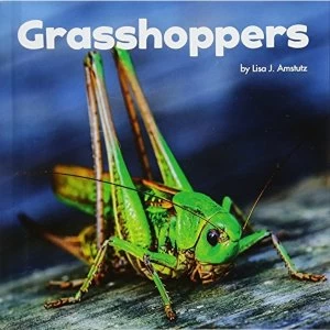 Image of Grasshoppers by Lisa J. Amstutz (Hardback, 2017)