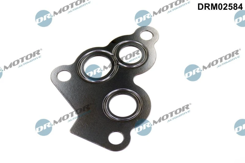 Image of DR.MOTOR AUTOMOTIVE Oil filter housing gasket DR.MOTOR AUTOMOTIVE DRM02584
