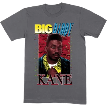 Image of Big Daddy Kane - Ropes Unisex Large T-Shirt - Grey