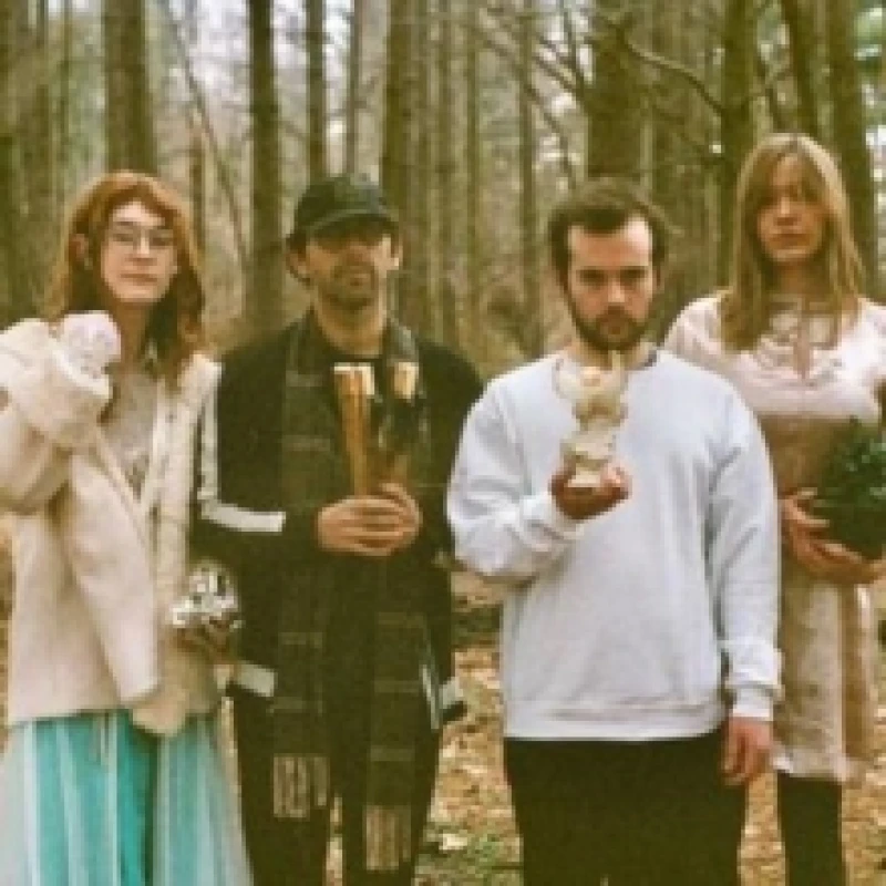 Image of No Vinyl