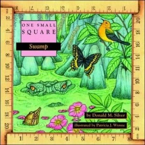Image of Swamp by Donald Silver Book