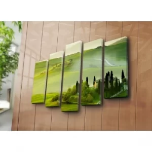 Image of 5NATPAT-46 Multicolor Decorative Canvas Painting (5 Pieces)