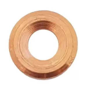 Image of PLANET TECH Gaskets PL6056 Seal, nozzle holder BMW,OPEL,FORD,3 Touring (E91),3 Limousine (E46),3 Limousine (E90),5 Limousine (E60),5 Touring (E61)