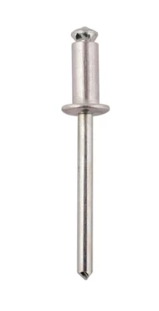 Image of Peel Type Rivet 4.8mm x 12.7mm Box 500 Connect 32790