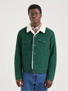 Image of levis Men Green Velluto - Velvet
