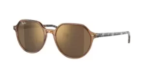 image of Ray-Ban Sunglasses RB2195 Thalia/S 663693