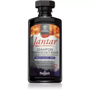 Image of Farmona Jantar Silver Brassy Tones Neutralizing Shampoo 330ml