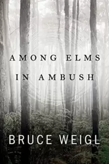 Image of Among Elms, in Ambush