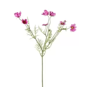 image of Crossland Grove Cosmos Spray X7 Pink (6Pk) 650Mm