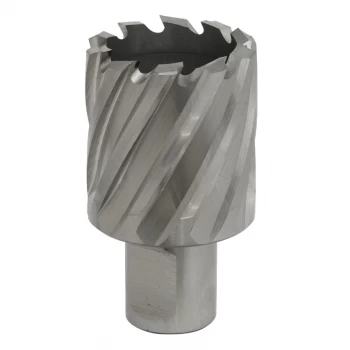 Image of Rotabor Cutter HSS 34MM - Cut Depth 25MM
