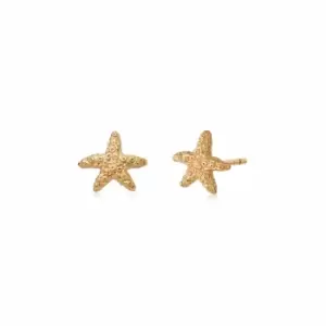 image of Daisy London Jewellery 18ct Gold Plated Sterling Silver Isla Starfish Stud Earrings 18Ct Gold Plate