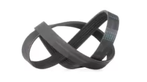 Image of CONTITECH V-ribbed belt 6PK1005 Serpentine belt,Auxiliary belt VW,AUDI,BMW,Golf VII Schragheck (5G1, BQ1, BE1, BE2),Polo Schragheck (6R1, 6C1)
