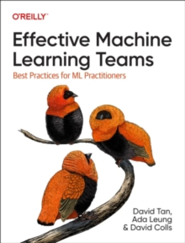 Image of Effective Machine Learning Teams. Paperback. By David Tan, Ada Leung, David Colls Books