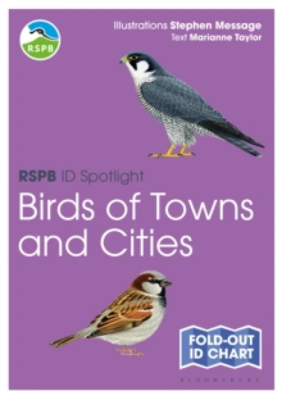 Image of RSPB ID Spotlight - Birds of Towns and Cities Fold-out book or chart