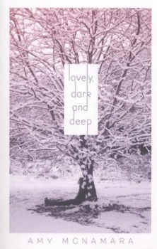 Image of Lovely Dark and Deep by Amy Mcnamara Paperback