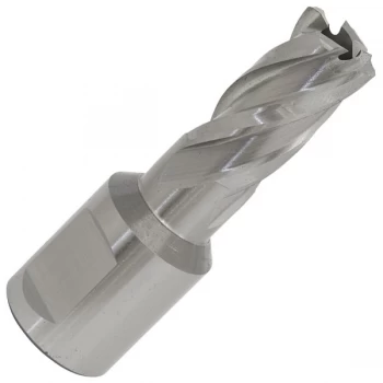 Image of Worksafe RBHSS16S Rotabor Cutter HSS Ø16mm - Cut Depth 25mm